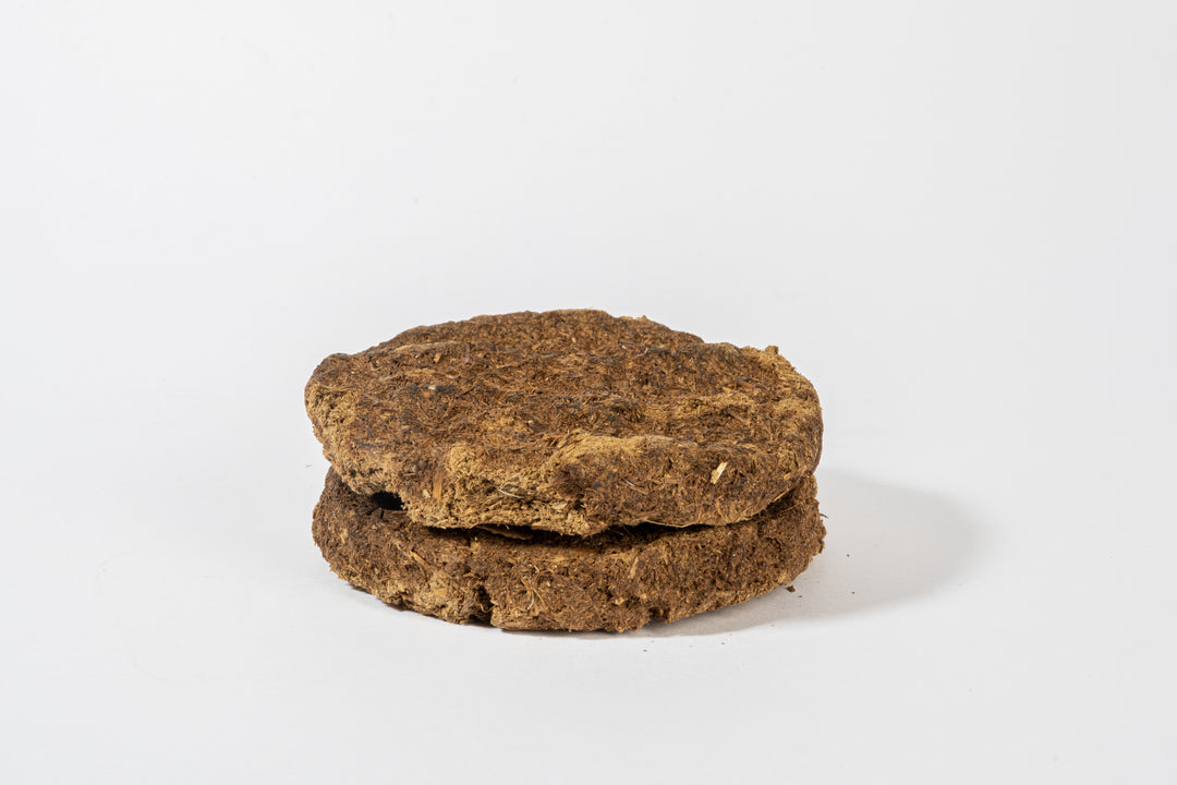 Cow dung cakes